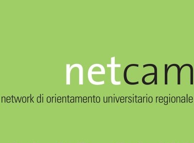 Netcam