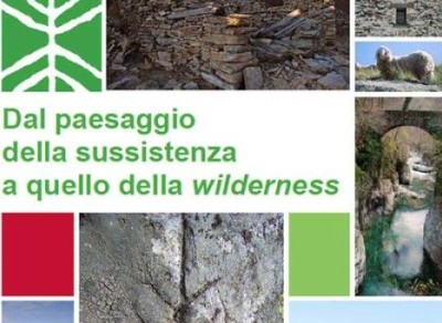 Dal paesaggio della sussistenza a quello della wilderness