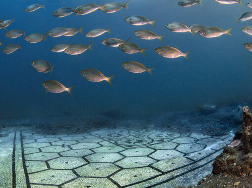 Unesco – Baia Parco Sommerso